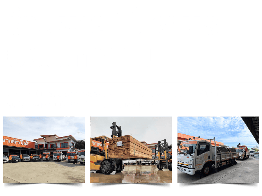 ร้านขายไม้ชลบุรี